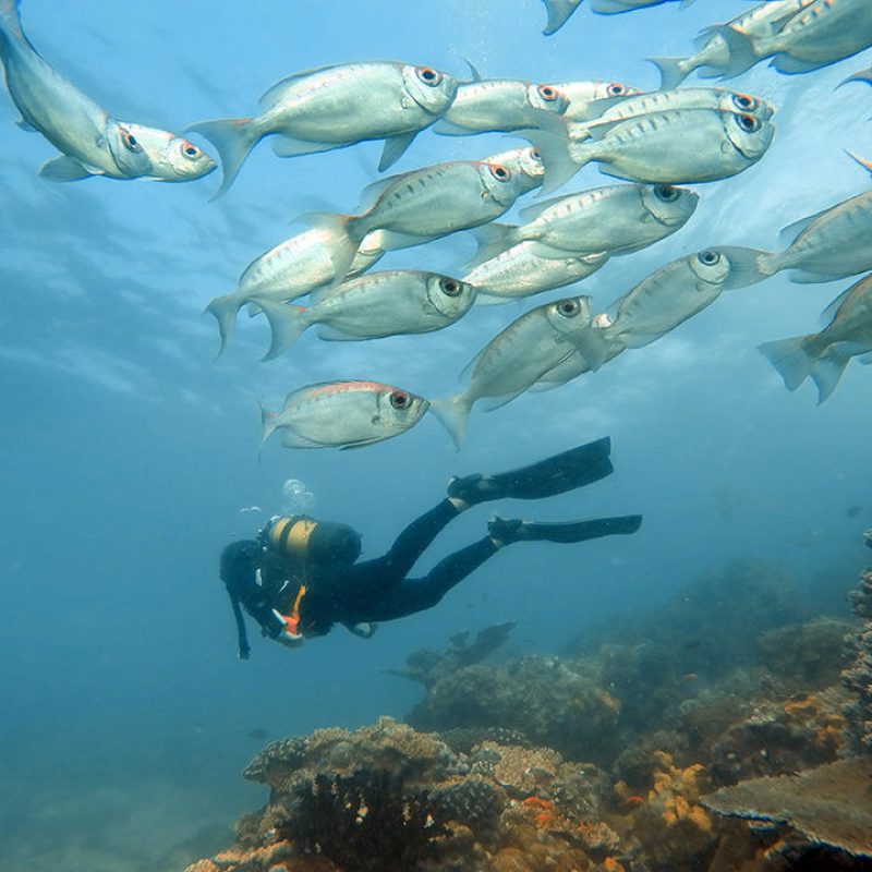 benguerra-island-actvities-scuba-diving